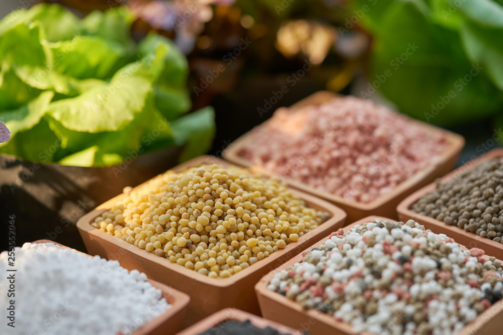 Fertilizer-3